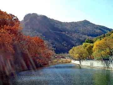澳門精準(zhǔn)四肖期期準(zhǔn)免費(fèi),歷史決策資料有哪些方面_29.06.79男科