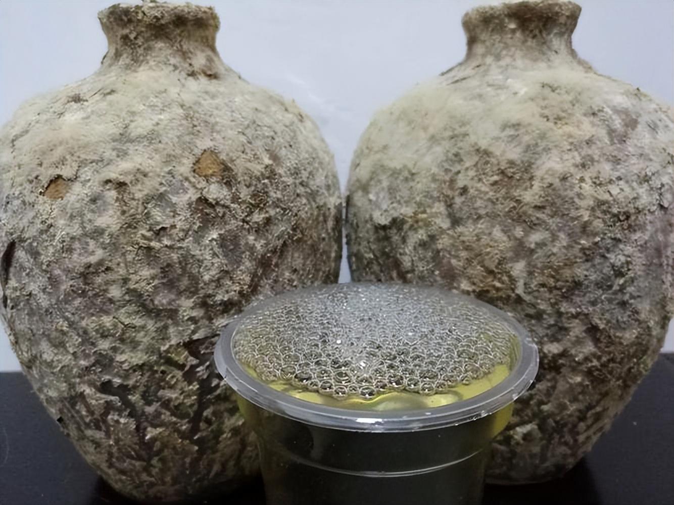仁懷房屋出售最新信息，科技與家居融合，未來(lái)家居新體驗(yàn)重磅推出