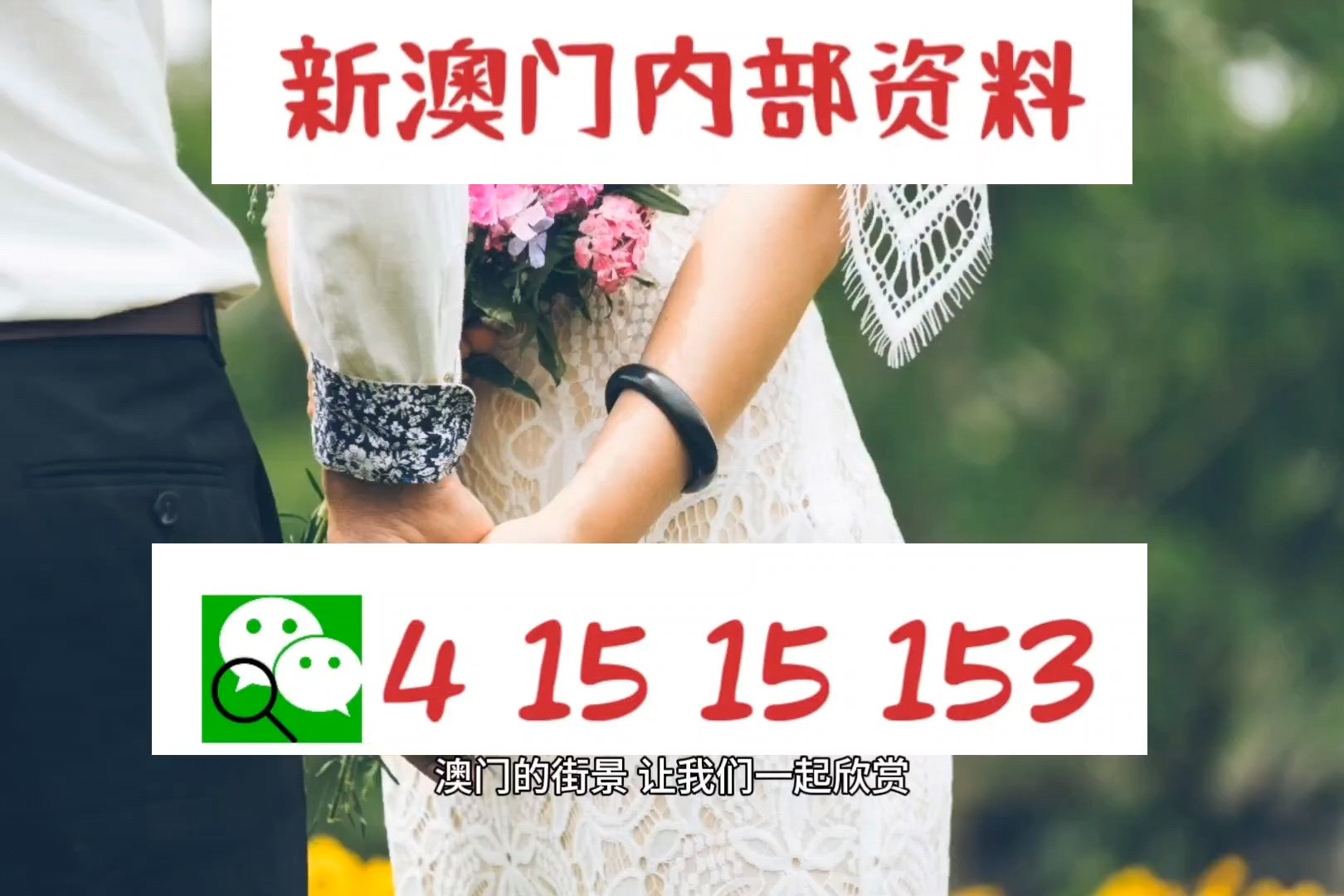 澳門2024正版資料免費(fèi)公開,快速實施解答研究_KGZ9.714萬能版