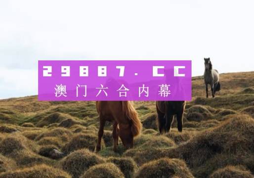 2023澳門一肖一碼,實地觀察數(shù)據(jù)設(shè)計_結(jié)合版51.427