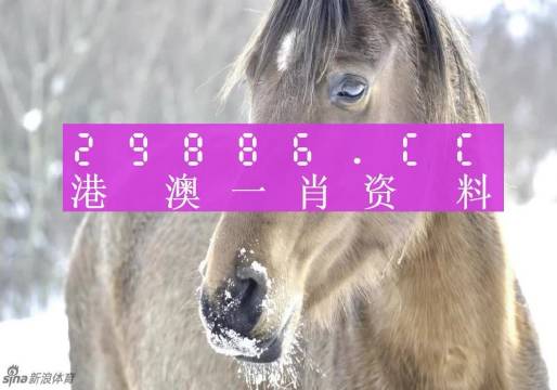 澳門精準一肖一碼100%精準,高度協(xié)調(diào)實施_供給版77.904