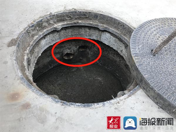 福建臺幫幫團(tuán)最新一期揭秘，小巷深處的隱藏美食瑰寶