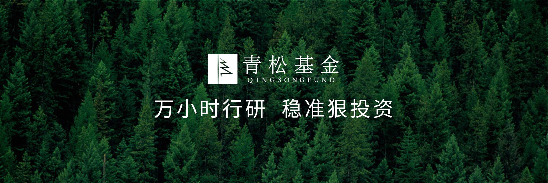 長(zhǎng)青樹(shù)眾籌最新動(dòng)態(tài)，背景、發(fā)展與時(shí)代地位探索