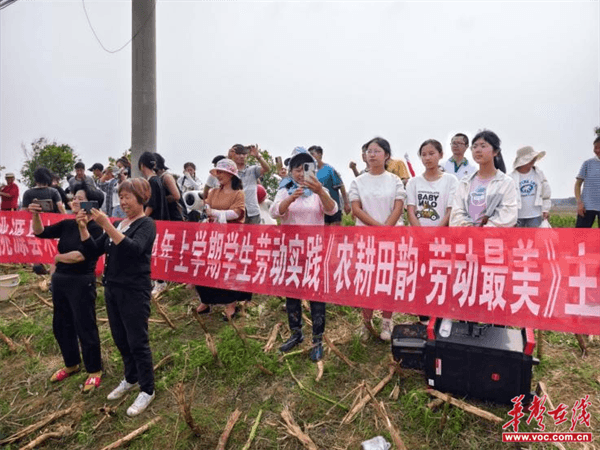 桃源木塘垸鄉(xiāng)新動(dòng)態(tài)，趣事連連，真摯友情綻放鄉(xiāng)間