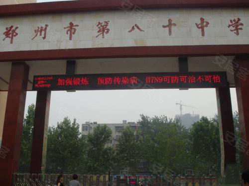 中原區(qū)九龍城最新動(dòng)態(tài)深度解析，最新進(jìn)展與觀點(diǎn)闡述