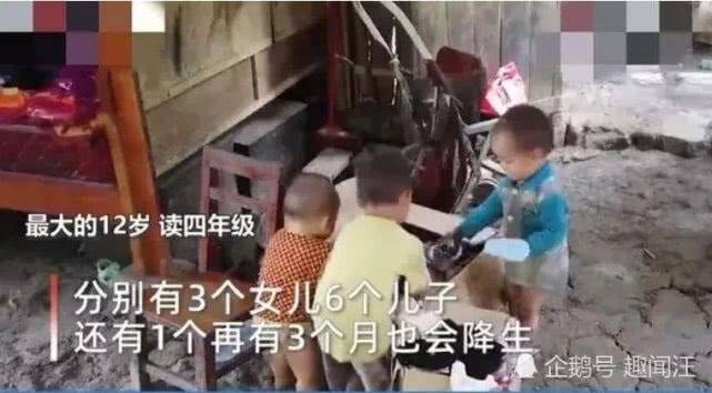 廣西最新預(yù)情，自然美景探索之旅，喚醒內(nèi)心平靜之旅