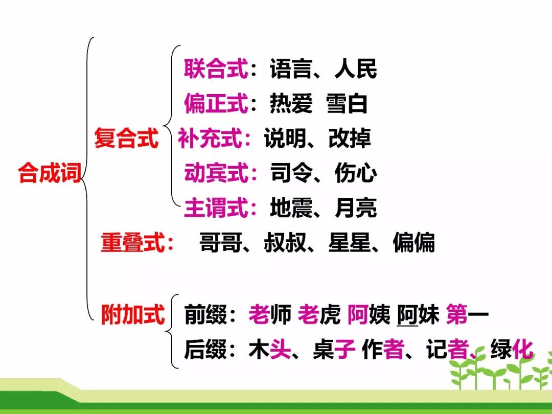 最新合成詞，語言發(fā)展的微觀視角探索