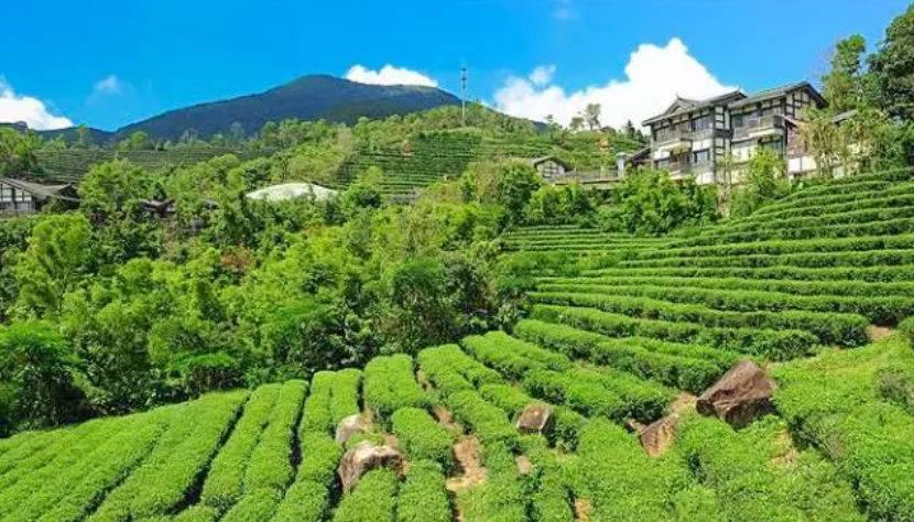 深圳驚喜活動溫情之旅，日常中的特別瞬間
