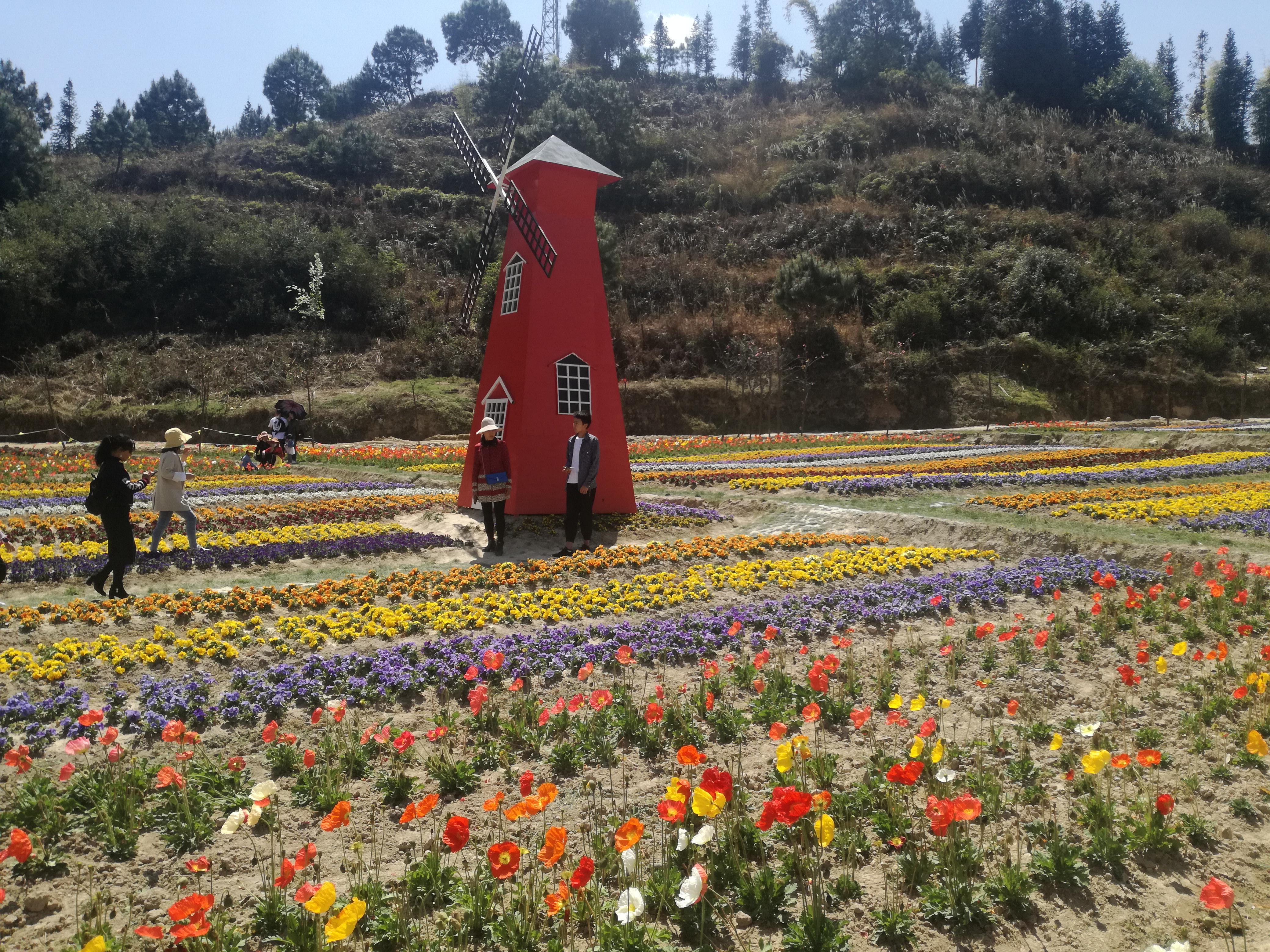 臨滄市最新探索，自然美景之旅，尋找內(nèi)心平和的旅程