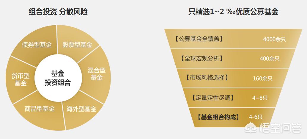 深度解析，今年養(yǎng)雞產(chǎn)業(yè)趨勢與前景展望