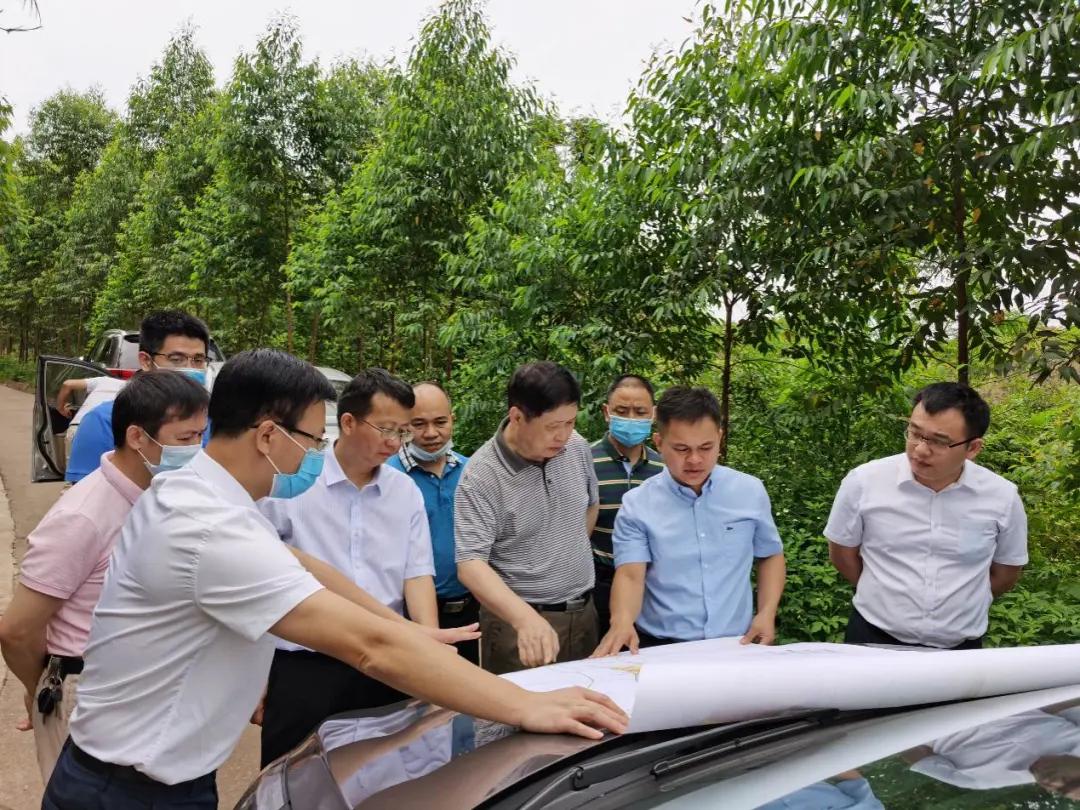 南寧龍象谷最新資訊，游玩指南與技能學(xué)習(xí)步驟全解析