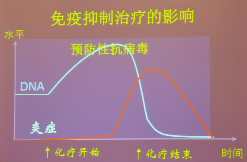 肝炎新進(jìn)展揭秘，小巷深處的秘密小店探索