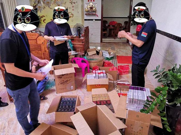電白電城最新案件通報，鄰里趣事背后的友情紐帶與案件進展報告
