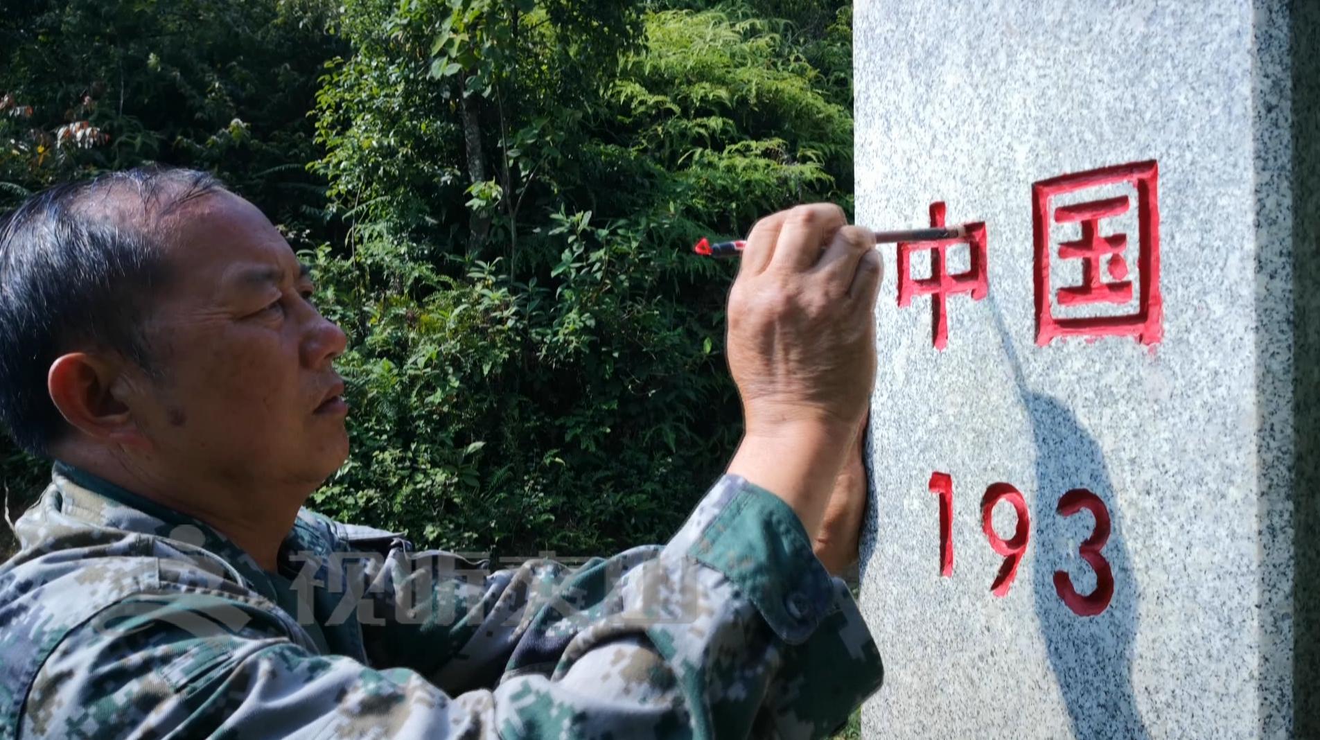 文山黃牛打架比賽，傳統(tǒng)與爭議的碰撞