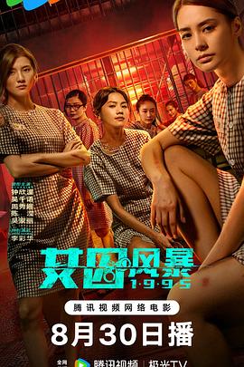 淘君爹最新影片，小巷深處的電影寶藏探索