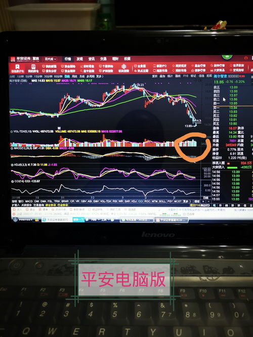 股票電腦版，開啟溫馨的股市之旅