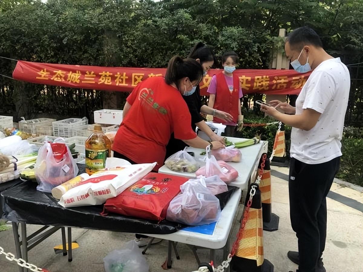 保利華潤紫云價格深度解析，探尋背后的故事與地位影響