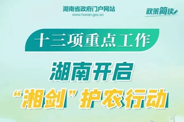 鋁業(yè)巨頭山鋁南定舉辦最新職位招聘盛宴，人才招募火熱進行中！