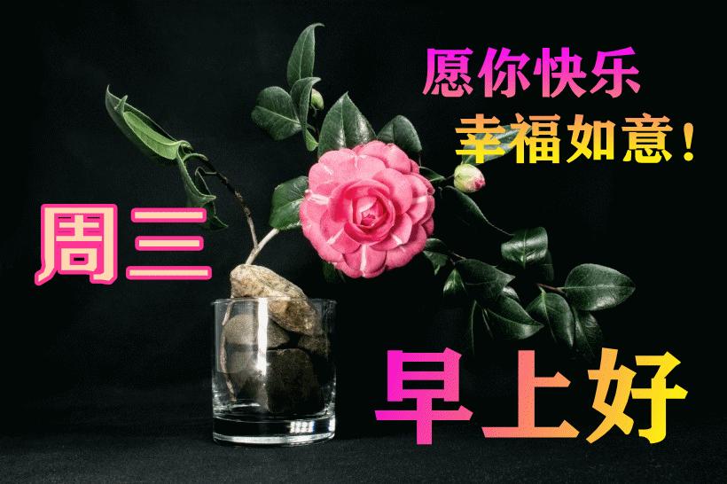 最新早晨問候動態(tài)表情包，溫馨問候，從表情開始！