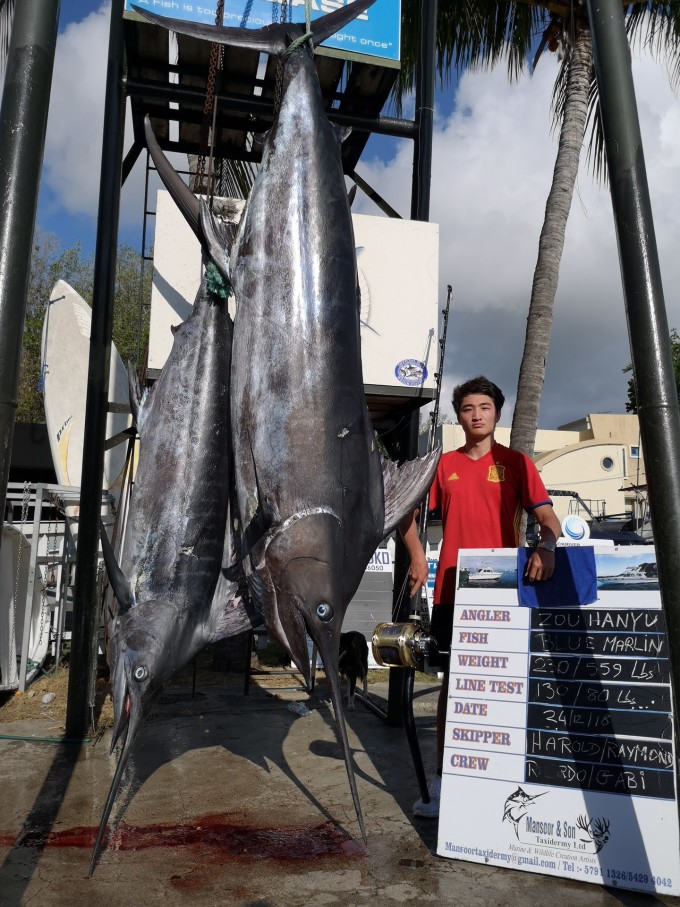 海洋競技盛宴，釣馬林魚比賽盛況