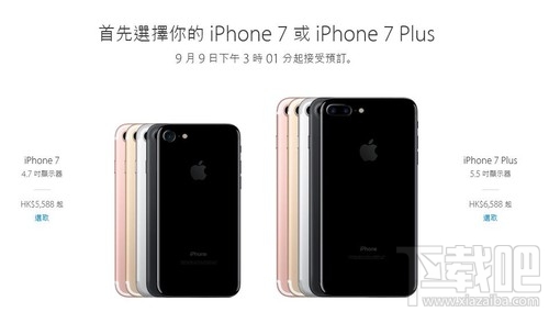 香港蘋果最新價格揭秘，小巷深處的驚喜發(fā)現(xiàn)