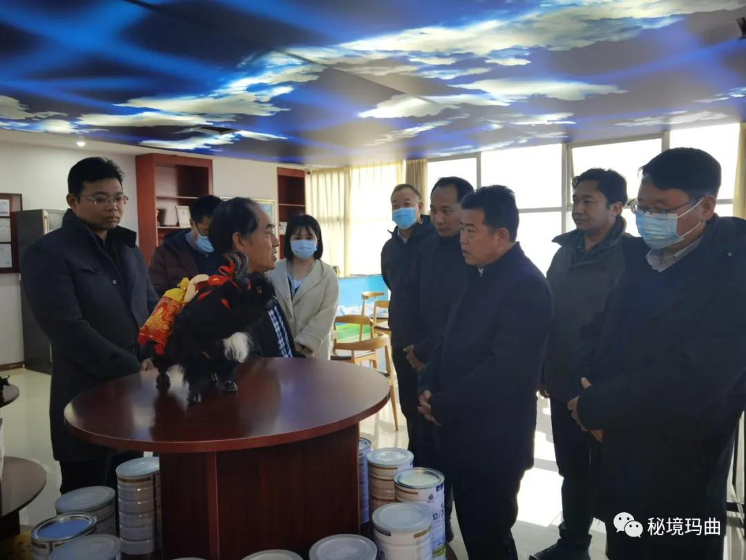 高原之寶上市，學(xué)習(xí)、蛻變與自信的輝煌之旅
