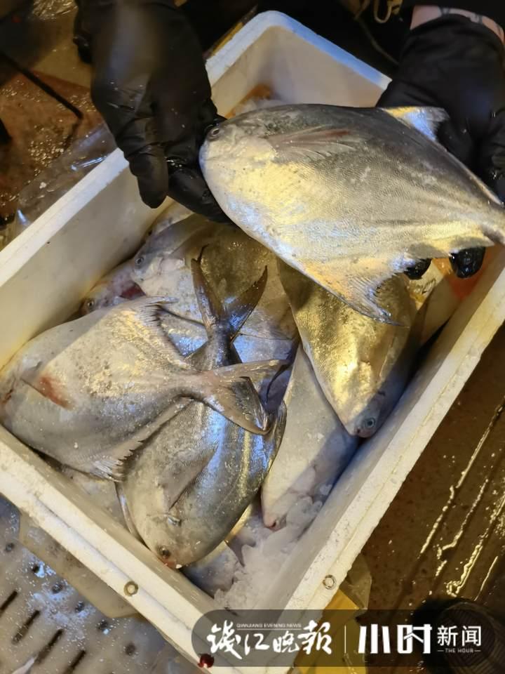 帶魚行情，一場(chǎng)海鮮盛宴的溫馨之旅