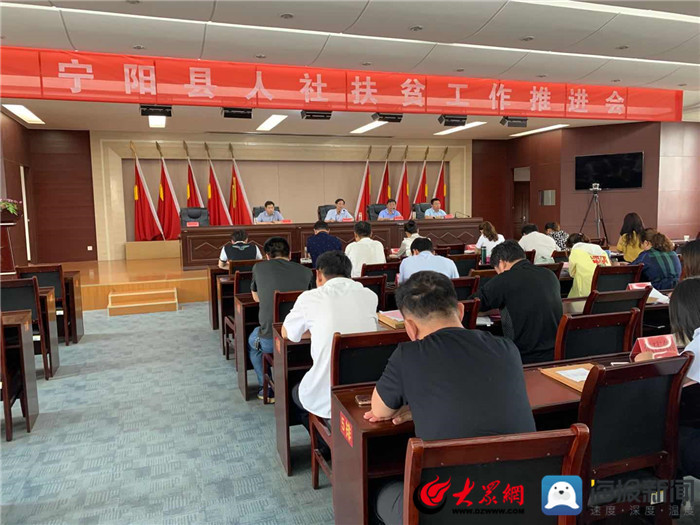 寧陽網(wǎng)最新資訊，城市中的溫情日常