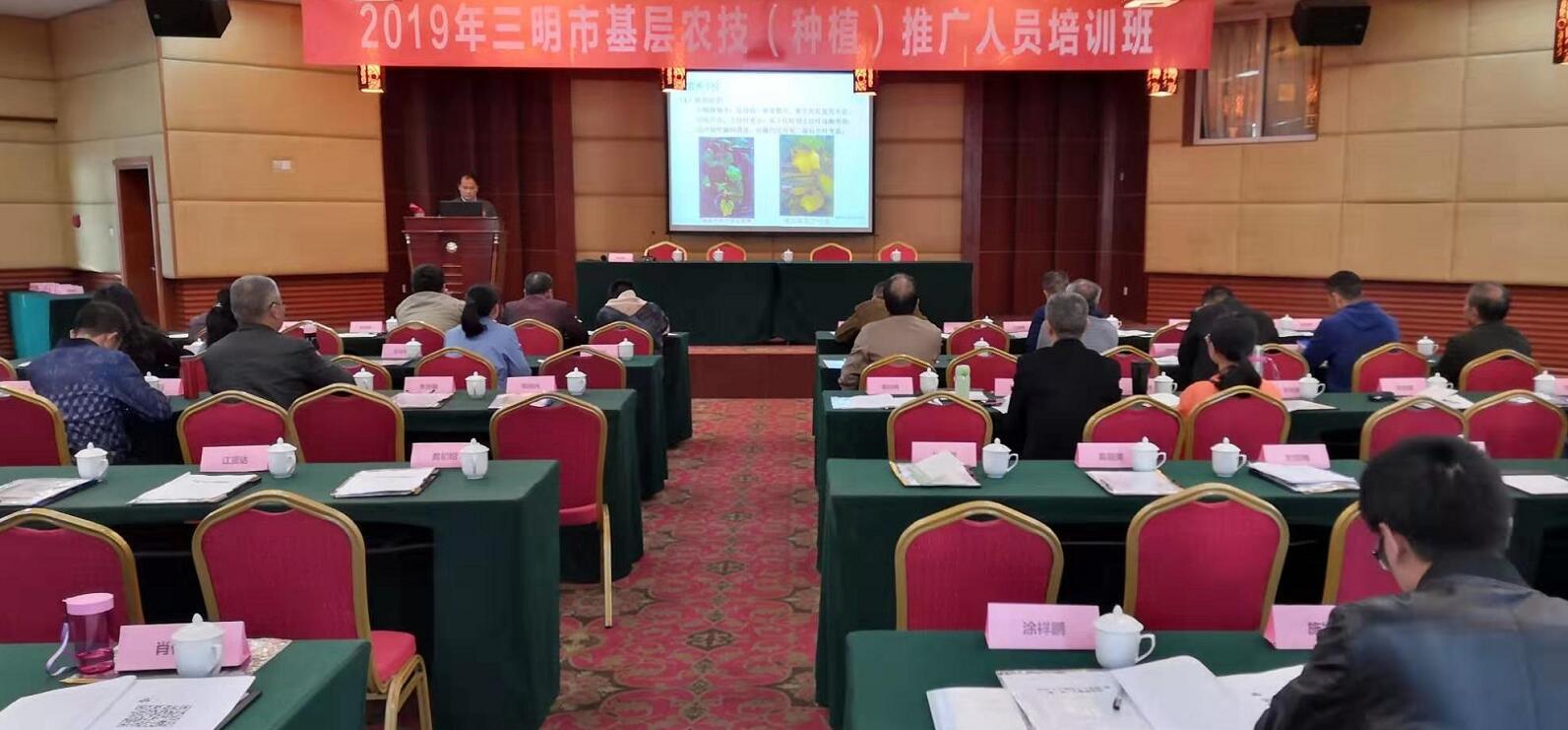 豇豆最新，廚房中的友情與家的溫馨