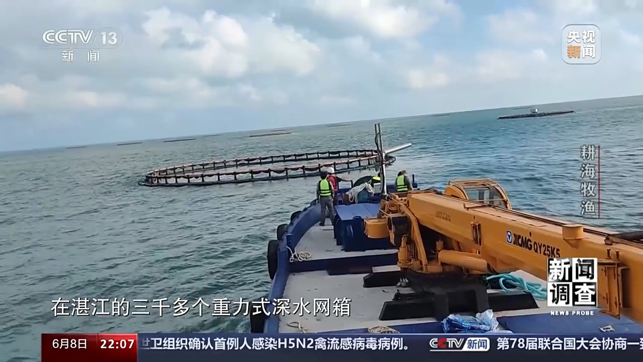 最新海水養(yǎng)殖,最新海水養(yǎng)殖，一種前沿農業(yè)技術的觀點分析