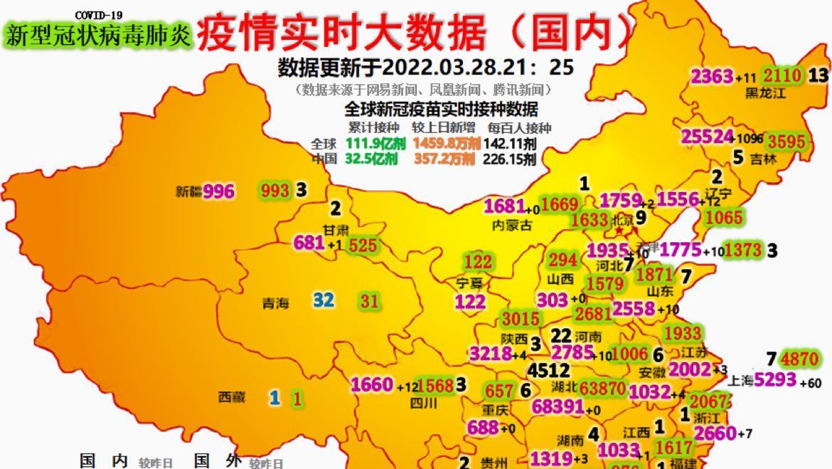 最新疫情動(dòng)態(tài)詳解，初學(xué)者與進(jìn)階用戶的步驟指南