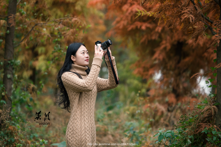 伊人在線電影，探索現(xiàn)代網(wǎng)絡(luò)影視的新境界