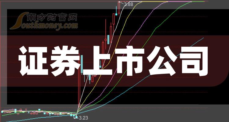科技巨頭引領(lǐng)下的全新視界，股票上市公司概覽