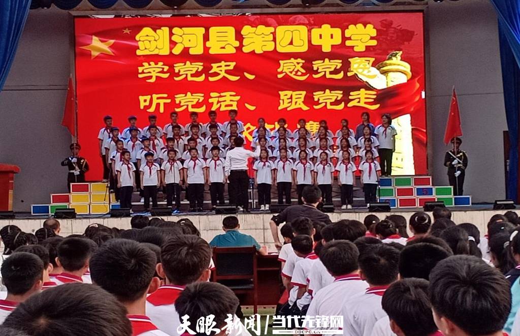 青蛙與狗的泳池挑戰(zhàn)，揭秘游泳比賽背后的故事，青蛙夢(mèng)工廠的秘密探索