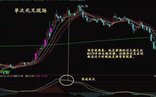 科技前沿與股票新紀(jì)元，最新高科技產(chǎn)品體驗介紹與股票解析