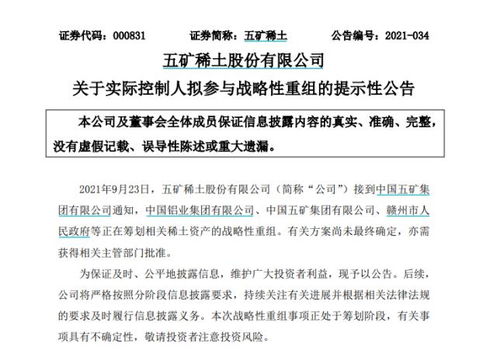 南方稀土股票，小巷中的隱秘寶藏，探索投資魅力的未知之旅