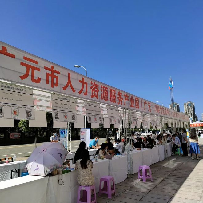廣元最新招聘資訊詳解，觀點(diǎn)闡述與解析