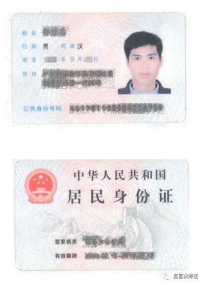 最新證照，友情與陪伴的溫馨故事之旅