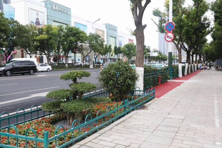 濰坊市奎文區(qū)改造工程，自然美景的探索之旅