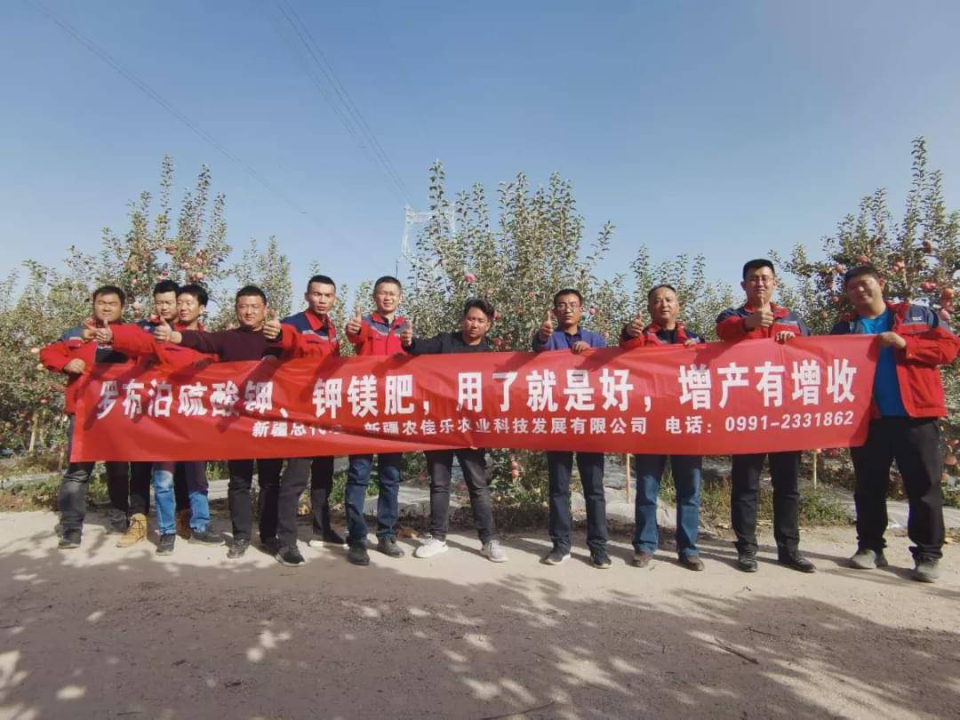 新疆國(guó)投羅鉀最新動(dòng)態(tài)，全面指南與最新發(fā)展概述