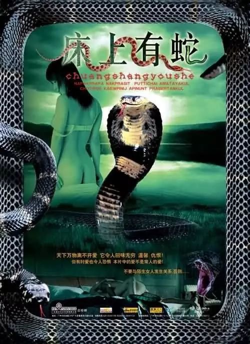 最新蛇片，蛻變的旅程，召喚自信與成就感的冒險之旅