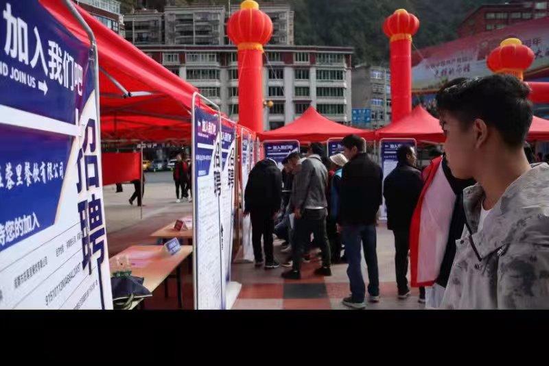 青白江招聘信息探索，小巷中的職業(yè)機遇