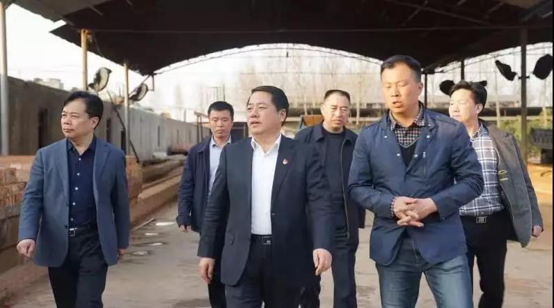 商丘王仲田最新動(dòng)態(tài)，探索自然美景的旅行，尋求內(nèi)心平和之旅