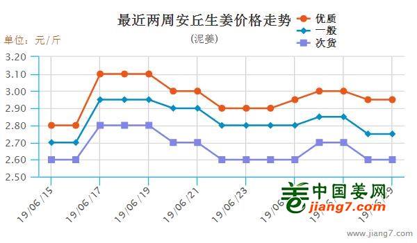 安丘大姜最新行情，機(jī)遇與自我超越的探尋之旅