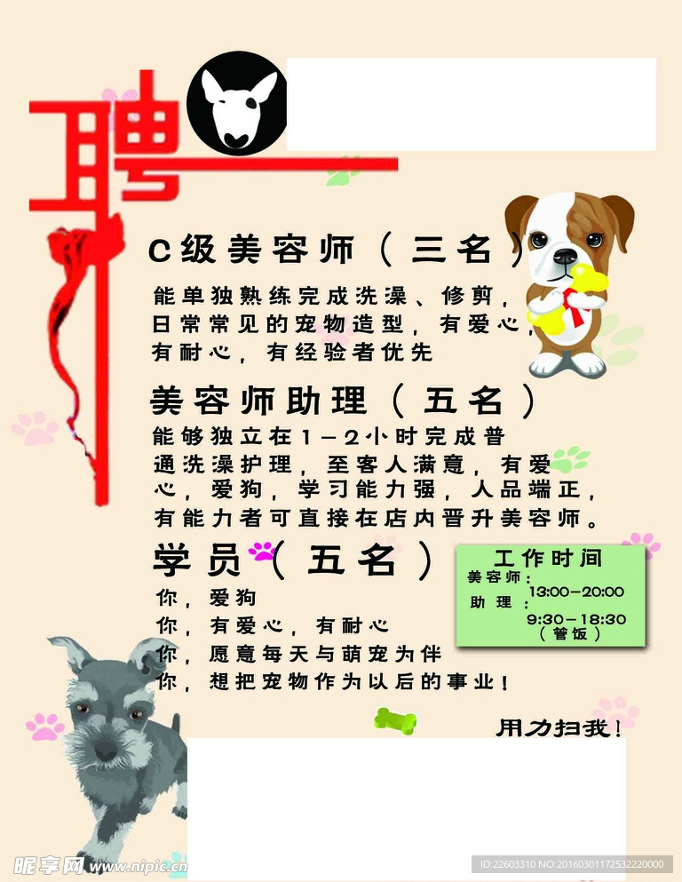 寵物店招聘最新動態(tài)，共探自然之美，尋求內(nèi)心寧靜