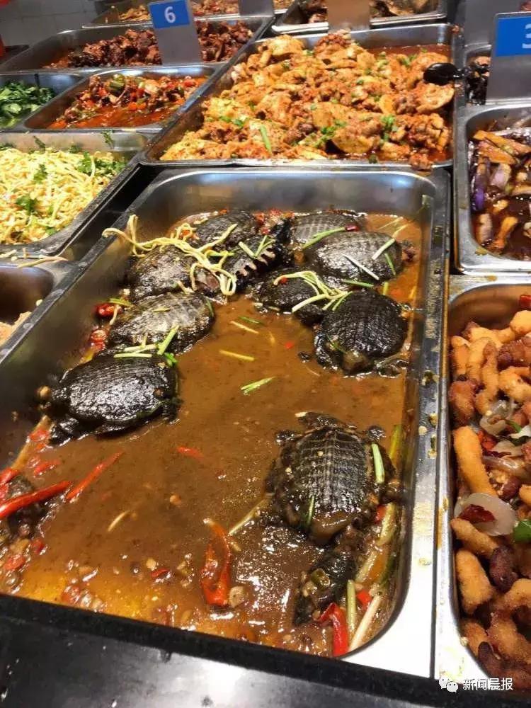 探索食堂美食新潮流，最新食堂菜一覽