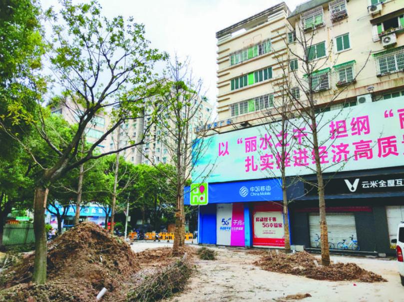 最新吊車網(wǎng)，自然美景之旅與內(nèi)心平靜的探尋