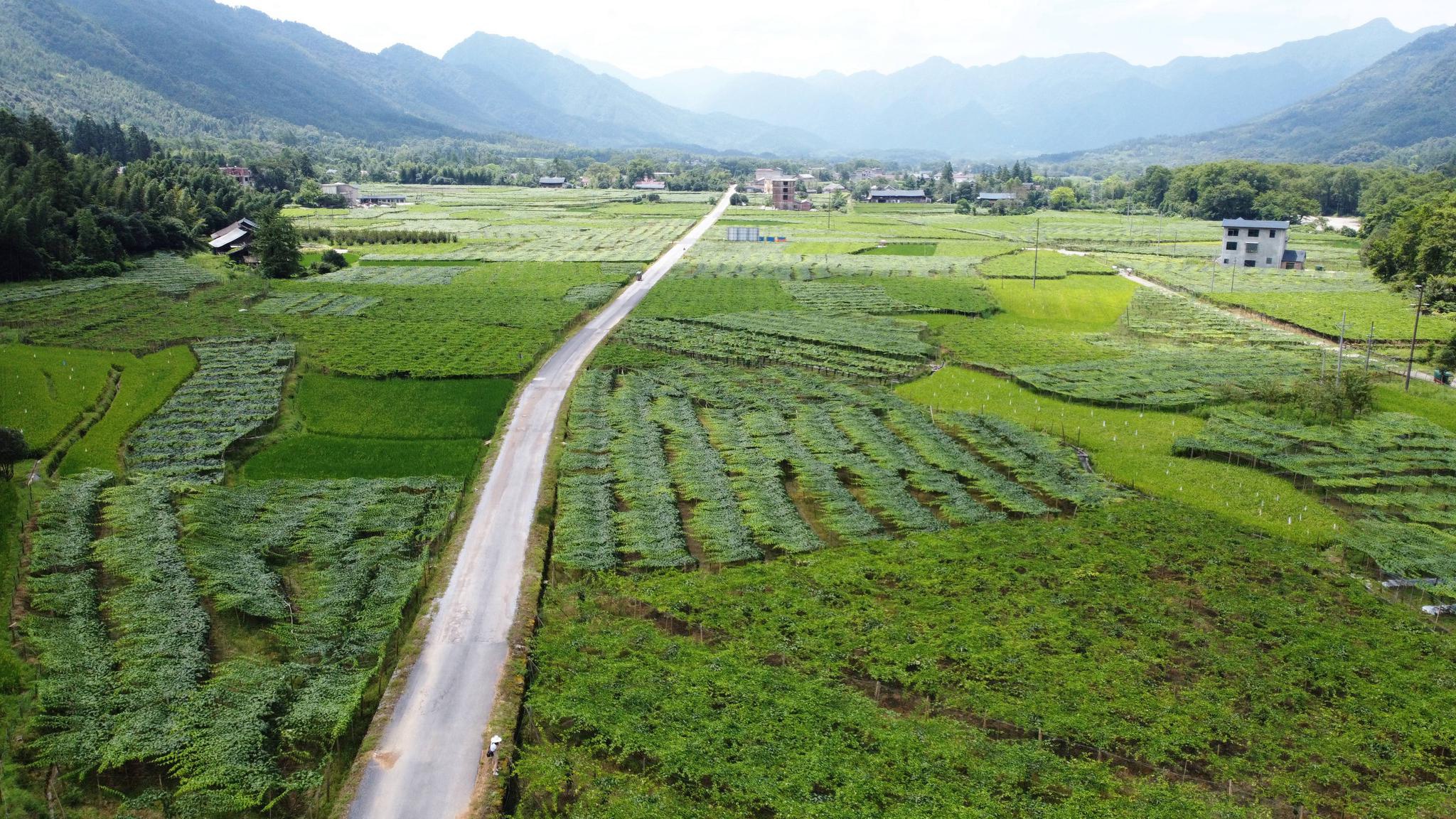 新文村，時代變遷下的文化繁榮與發(fā)展新篇章