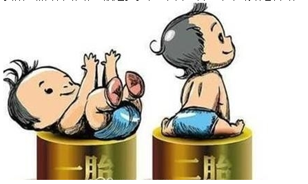 最新雙胞胎補助政策，攜手同行，助力孕育夢想之路