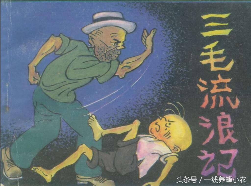 上海三毛最新動(dòng)態(tài)，自然美景探索之旅啟幕